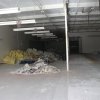 DSCF0677
